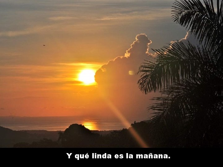 Y qué linda es la mañana. 