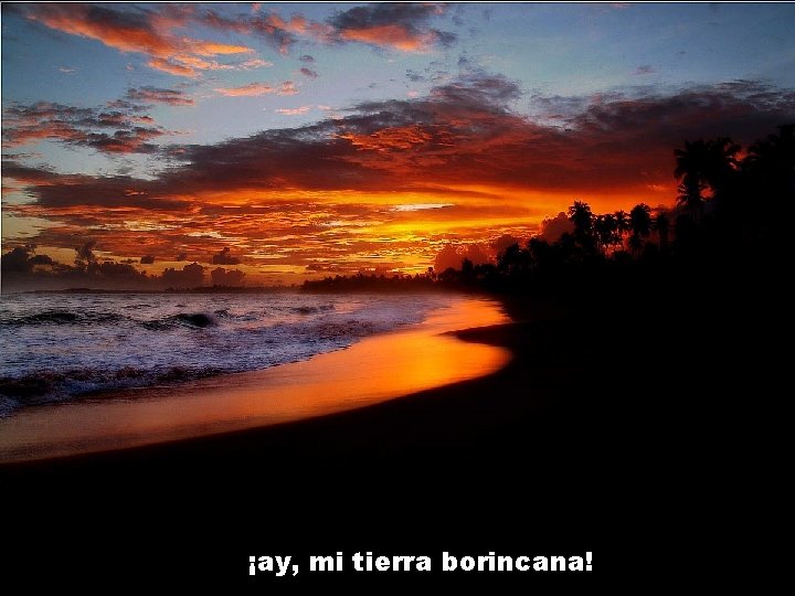 ¡ay, mi tierra borincana! 