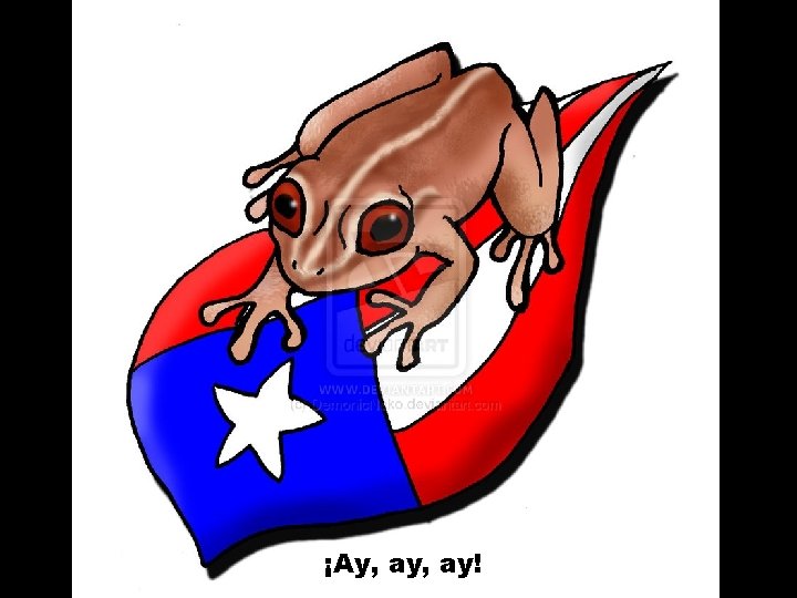 ¡Ay, ay! 