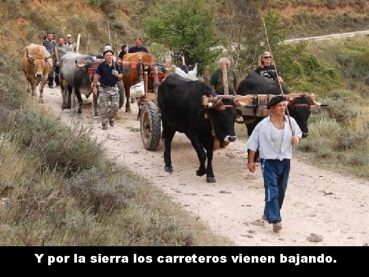 Y por la sierra los carreteros vienen bajando. 
