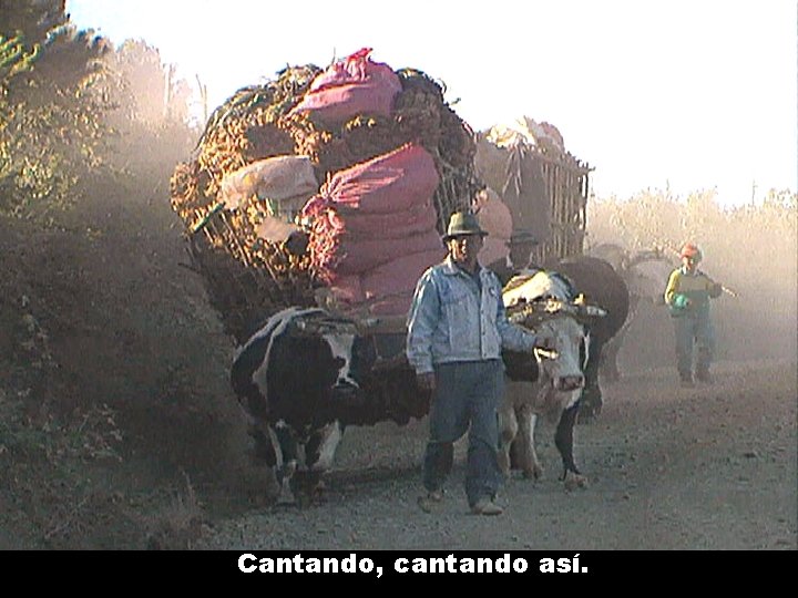 Cantando, cantando así. 
