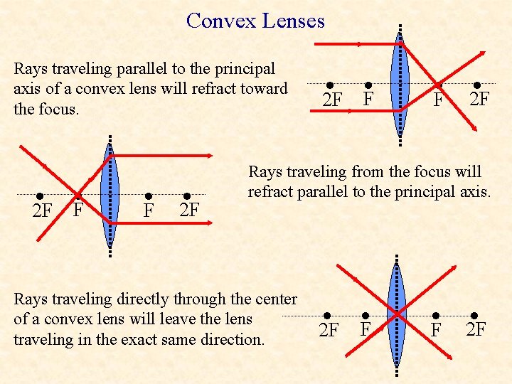 Convex Lenses Rays traveling parallel to the principal axis of a convex lens will