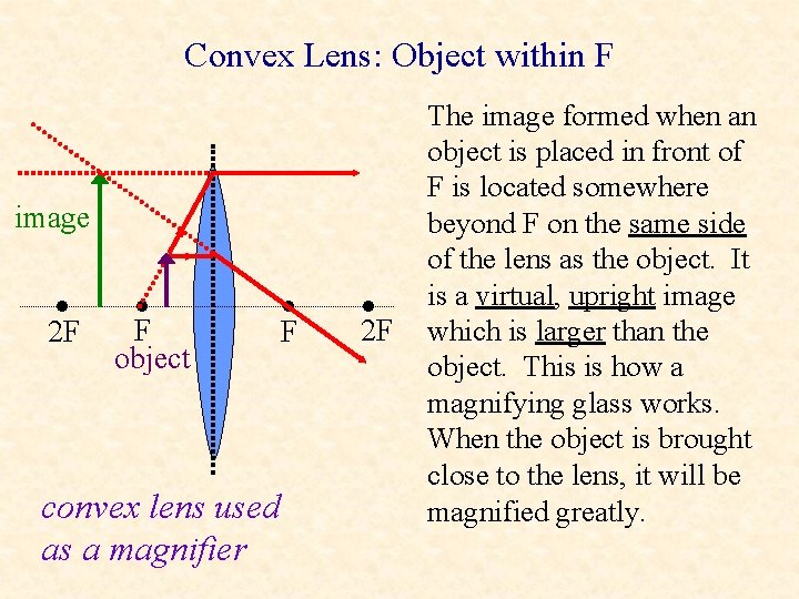 Convex Lens: Object within F image • 2 F • F object convex lens