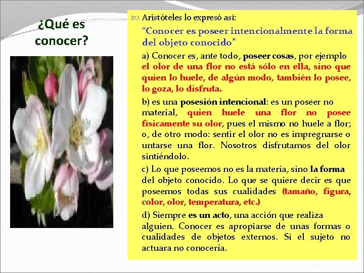¿Qué es conocer? Aristóteles lo expresó así: “Conocer es poseer intencionalmente la forma del ¿Qué es conocer? Aristóteles lo expresó así: “Conocer es poseer intencionalmente la forma del