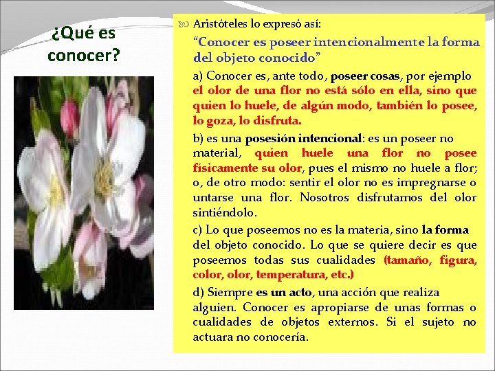 ¿Qué es conocer? Aristóteles lo expresó así: “Conocer es poseer intencionalmente la forma del