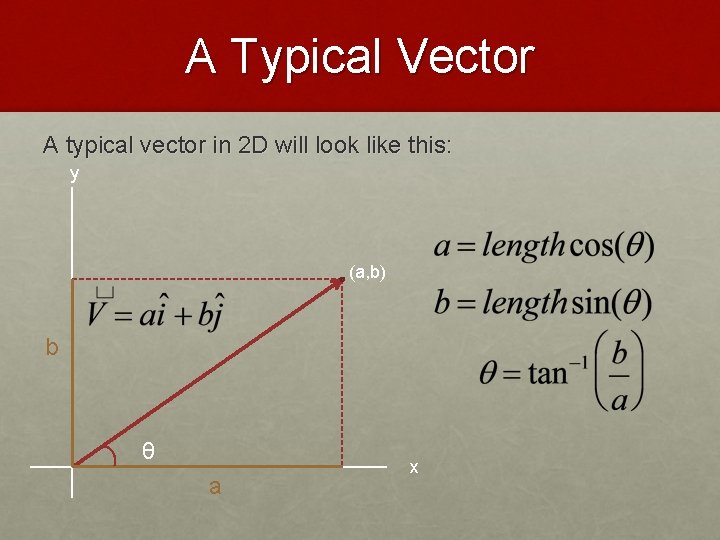 A Typical Vector A typical vector in 2 D will look like this: y