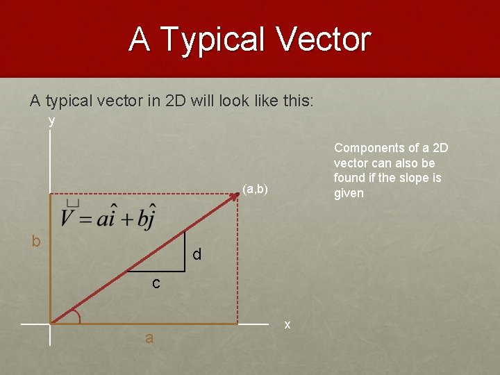 A Typical Vector A typical vector in 2 D will look like this: y
