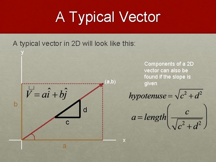 A Typical Vector A typical vector in 2 D will look like this: y