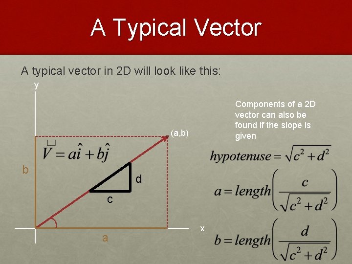 A Typical Vector A typical vector in 2 D will look like this: y