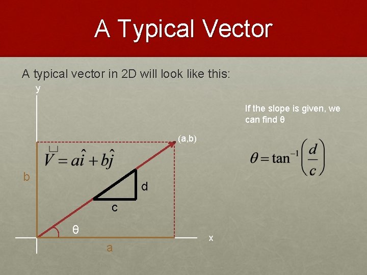 A Typical Vector A typical vector in 2 D will look like this: y