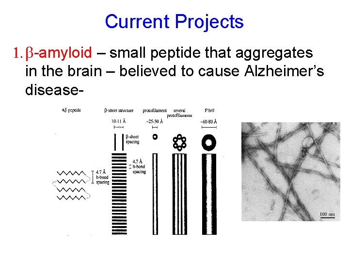 Current Projects 1. b-amyloid – small peptide that aggregates in the brain – believed