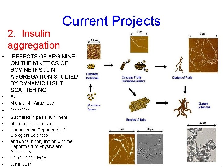 2. Insulin aggregation Current Projects • EFFECTS OF ARGININE ON THE KINETICS OF BOVINE