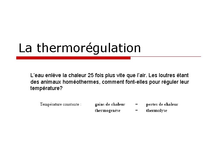 La thermorégulation L’eau enlève la chaleur 25 fois plus vite que l’air. Les loutres