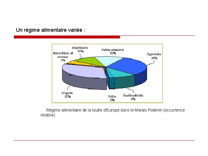 Un régime alimentaire variée : Régime alimentaire de la loutre d'Europe dans le Marais