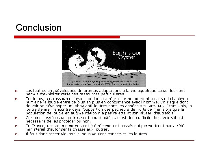 Conclusion o o o Les loutres ont développée différentes adaptations à la vie aquatique