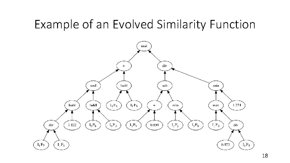 Example of an Evolved Similarity Function 18 