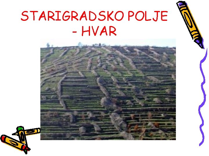 STARIGRADSKO POLJE - HVAR 