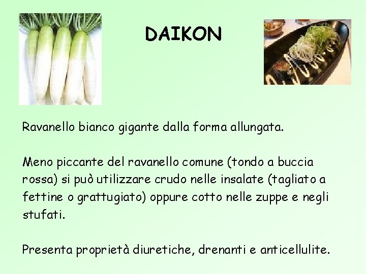 DAIKON Ravanello bianco gigante dalla forma allungata. Meno piccante del ravanello comune (tondo a