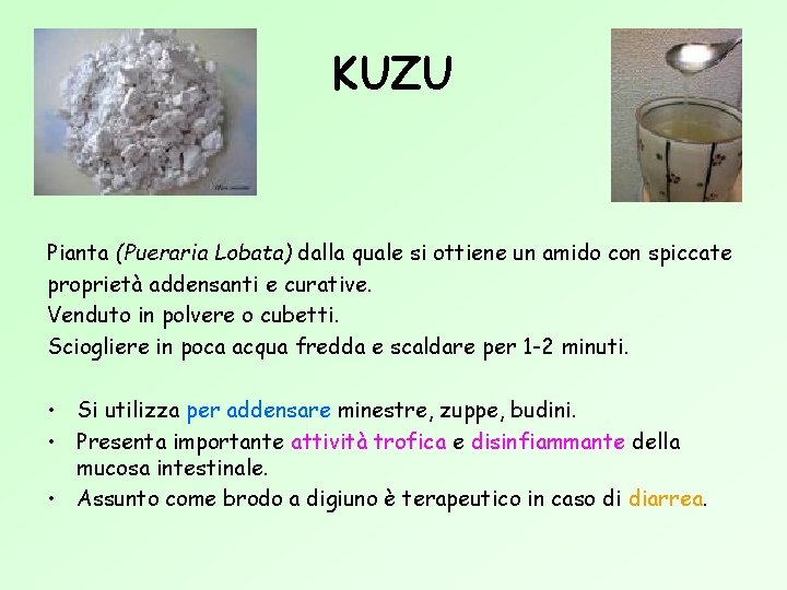 KUZU Pianta (Pueraria Lobata) dalla quale si ottiene un amido con spiccate proprietà addensanti