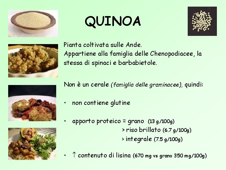 QUINOA Pianta coltivata sulle Ande. Appartiene alla famiglia delle Chenopodiacee, la stessa di spinaci