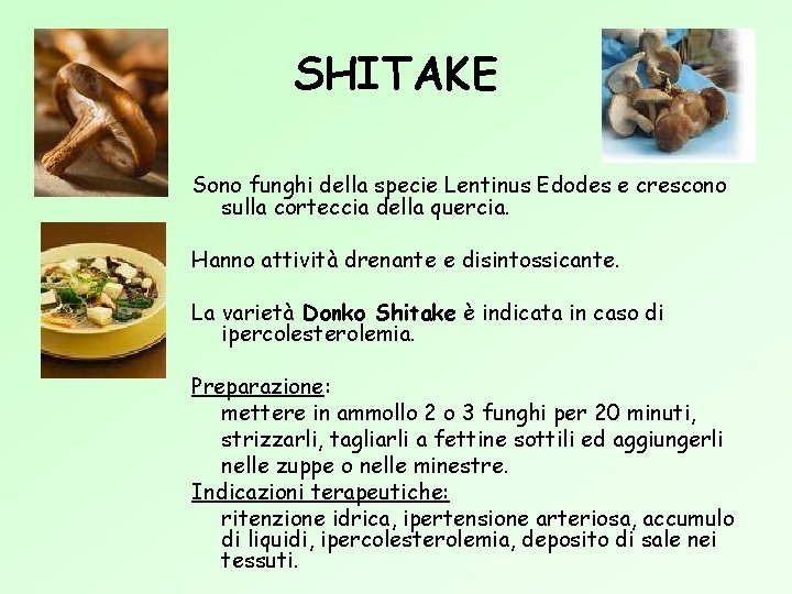 SHITAKE Sono funghi della specie Lentinus Edodes e crescono sulla corteccia della quercia. Hanno