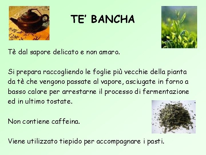 TE’ BANCHA Tè dal sapore delicato e non amaro. Si prepara raccogliendo le foglie