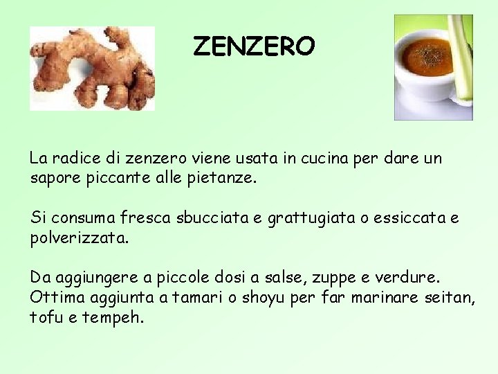 ZENZERO La radice di zenzero viene usata in cucina per dare un sapore piccante