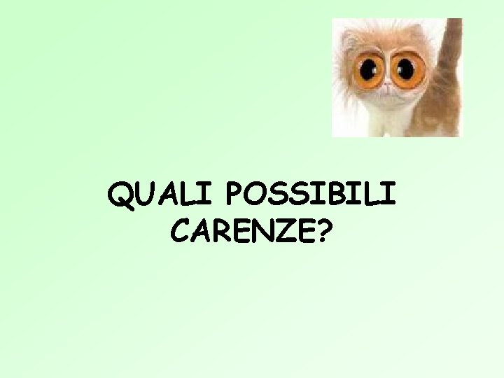 QUALI POSSIBILI CARENZE? 