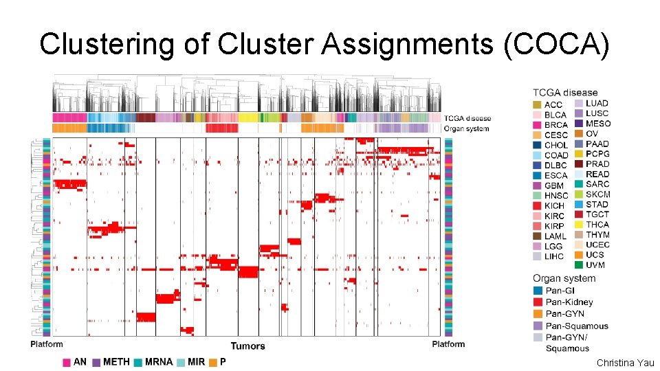 Clustering of Cluster Assignments (COCA) Christina Yau 