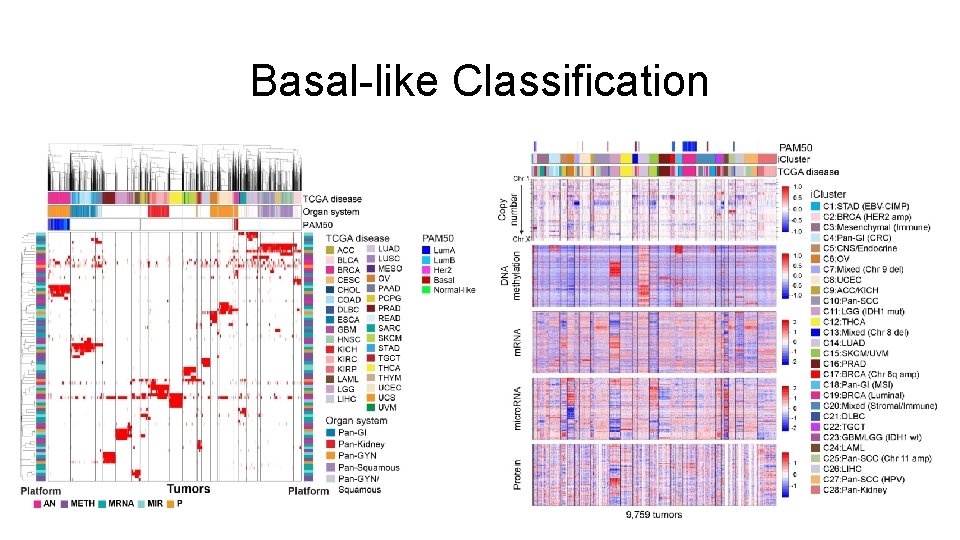 Basal-like Classification 