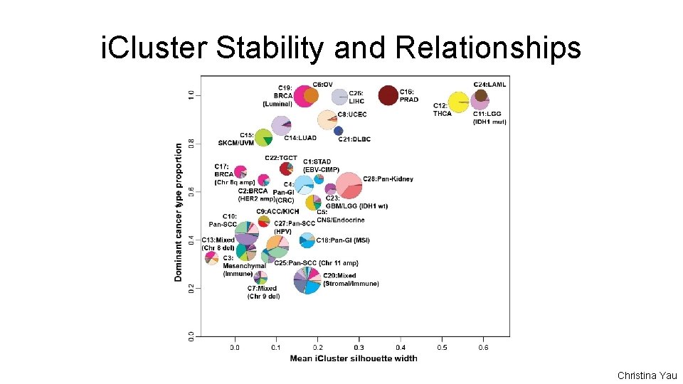 i. Cluster Stability and Relationships Christina Yau 