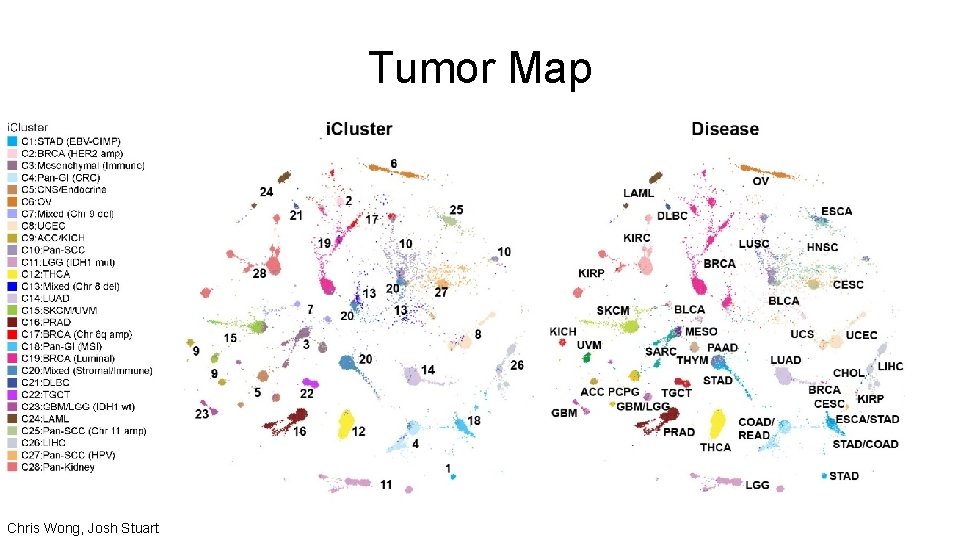 Tumor Map Chris Wong, Josh Stuart 