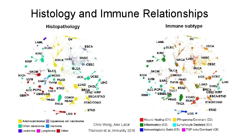 Histology and Immune Relationships Chris Wong, Alex Lazar Thorsson et al, Immunity 2018 