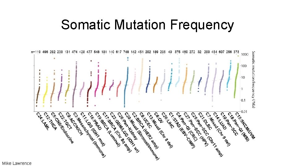 Somatic Mutation Frequency Mike Lawrence 