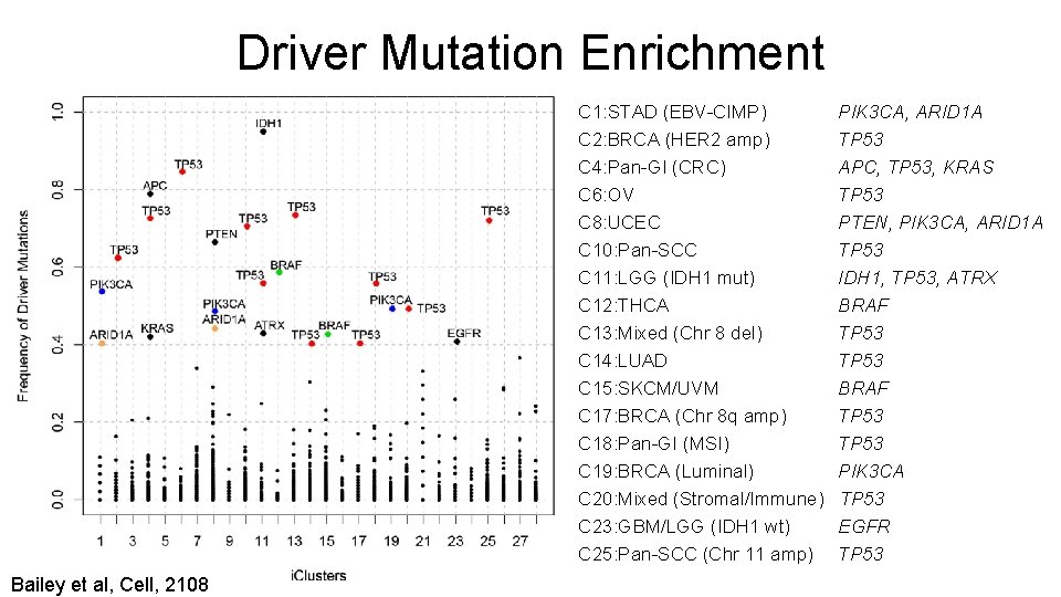 Driver Mutation Enrichment C 1: STAD (EBV-CIMP) C 2: BRCA (HER 2 amp) C