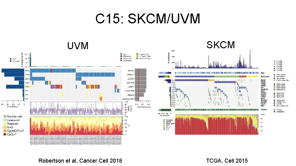 C 15: SKCM/UVM Robertson et al, Cancer Cell 2018 SKCM TCGA, Cell 2015 
