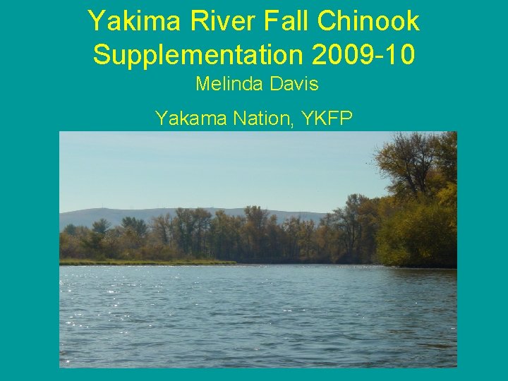 Yakima River Fall Chinook Supplementation 2009 -10 Melinda Davis Yakama Nation, YKFP 