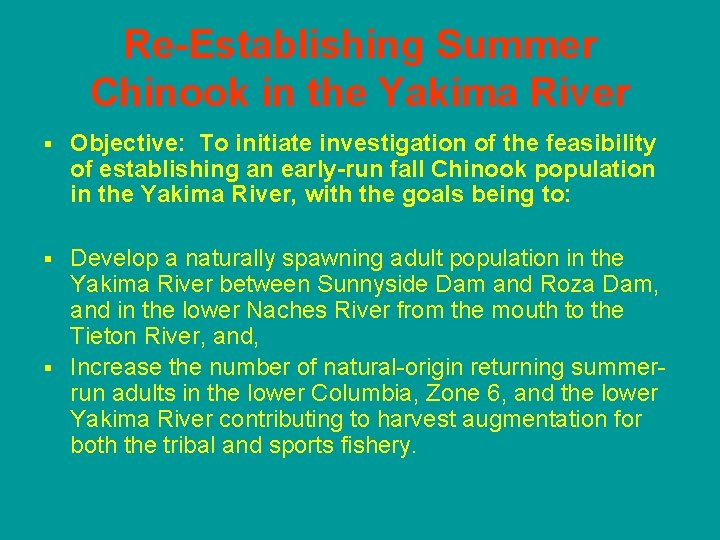 Re-Establishing Summer Chinook in the Yakima River § Objective: To initiate investigation of the