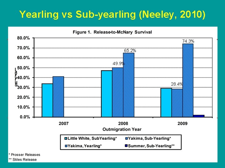 Yearling vs Sub-yearling (Neeley, 2010) 74. 3% 65. 2% 49. 9% 28. 4% 