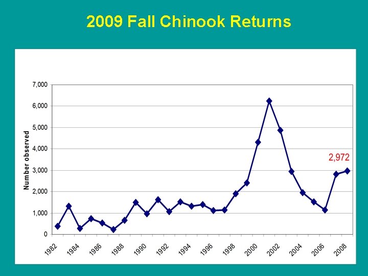 2009 Fall Chinook Returns 