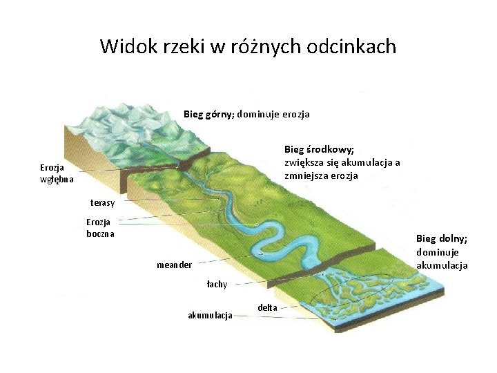 Widok rzeki w różnych odcinkach Bieg górny; dominuje erozja Bieg środkowy; zwiększa się akumulacja