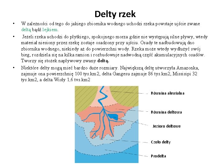 Delty rzek • • • W zależności od tego do jakiego zbiornika wodnego uchodzi