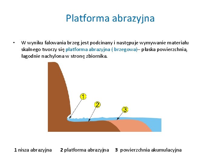 Platforma abrazyjna • W wyniku falowania brzeg jest podcinany i następuje wymywanie materiału skalnego