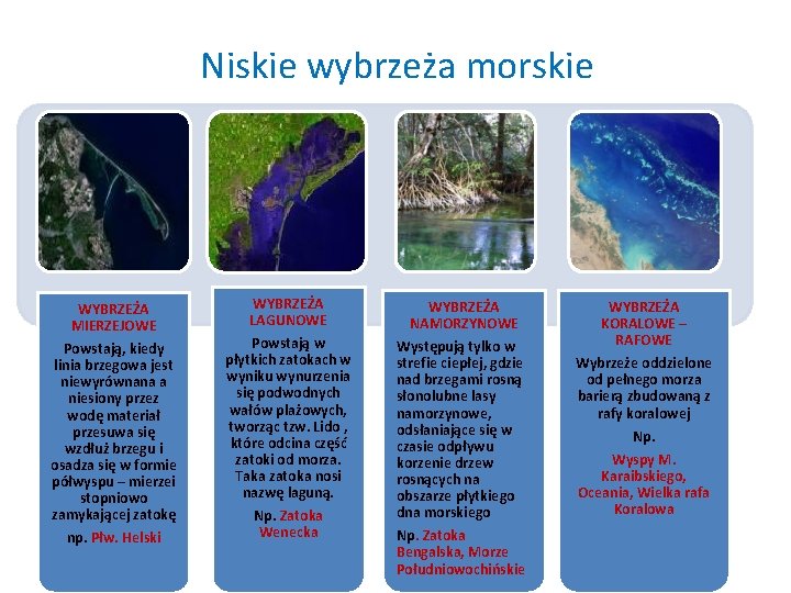 Niskie wybrzeża morskie WYBRZEŻA MIERZEJOWE Powstają, kiedy linia brzegowa jest niewyrównana a niesiony przez