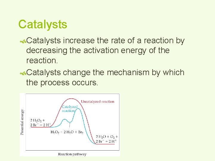 Catalysts increase the rate of a reaction by decreasing the activation energy of the