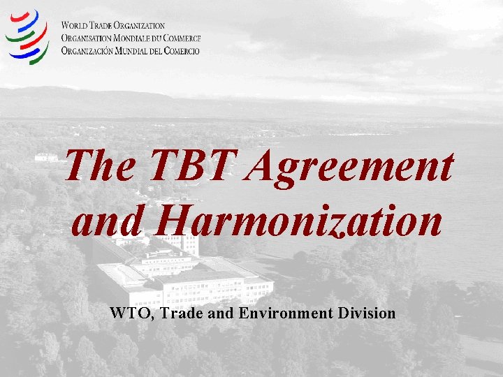 The TBT Agreement and Harmonization WTO, Trade and Environment Division 