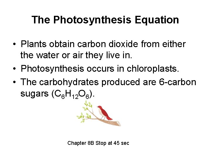 The Photosynthesis Equation • Plants obtain carbon dioxide from either the water or air