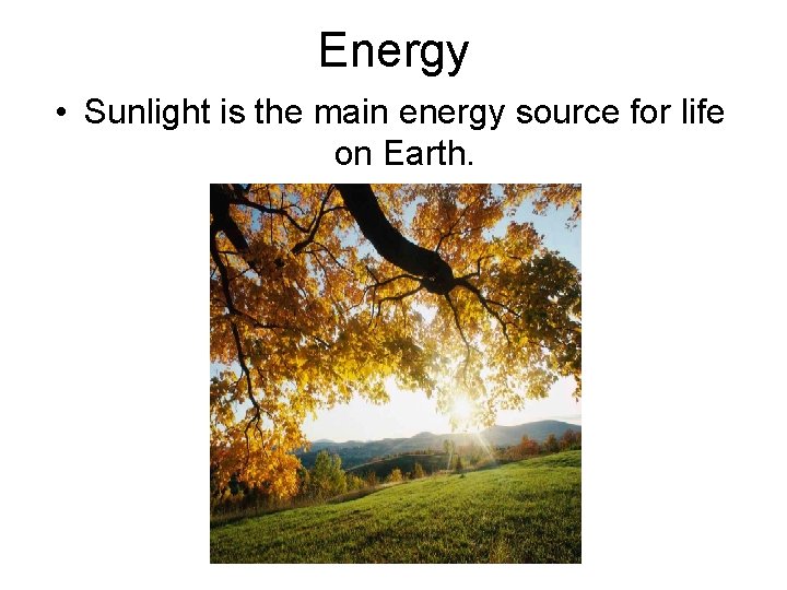 Energy • Sunlight is the main energy source for life on Earth. 