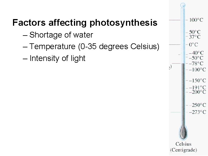 Factors affecting photosynthesis – Shortage of water – Temperature (0 -35 degrees Celsius) –