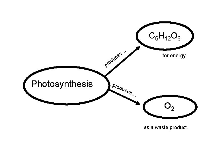 C 6 H 12 O 6 … s ce du o pr Photosynthesis pro